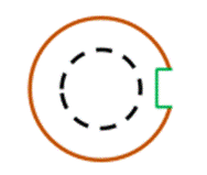Shape, circle

Description automatically generated